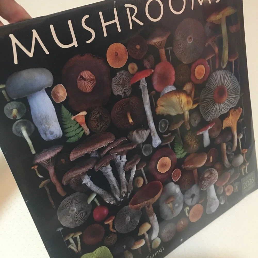Moritz Schmid Art of the Mushroom 2026 12